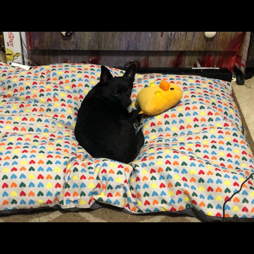 Meet your Posher. Everything I sell unless the item says other wise is OBO!